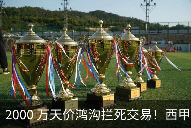 2000 万天价鸿沟拦死交易！西甲豪门全力抢欧洲杯飞翼，终极翻盘悬念拉满